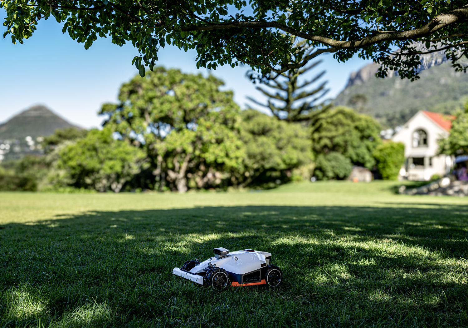 luba_2025-Mow-Under-Tree
